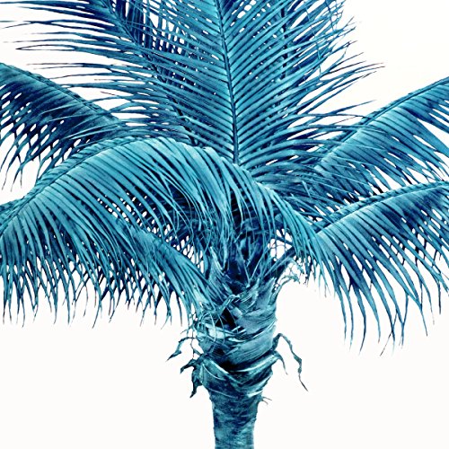We Fam Econo (Lp+7'') [Vinyl LP] von TRANSGRESSIVE