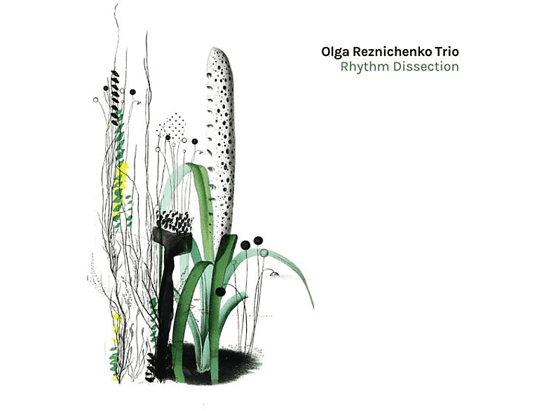 Olga Trio Reznichenko - Rhythm Dissection (CD) von TRAUMTON