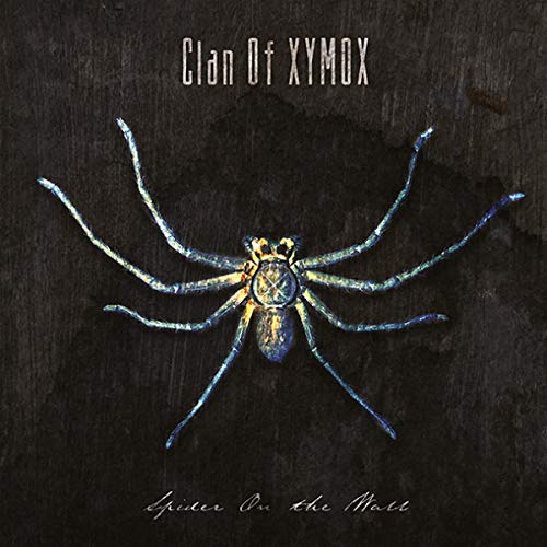 Spider on the Wall (Lim.3x12" Deluxe Edition) [Vinyl LP] von TRISOL MUSIC