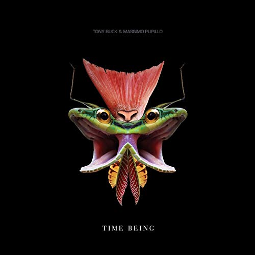 Time Being [Vinyl LP] von TROST