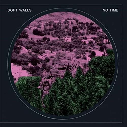 No Time [Vinyl LP] von TROUBLE IN MIND