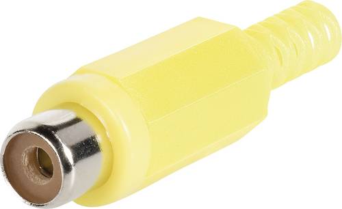 TRU COMPONENTS TC-2518013 Cinch-Steckverbinder Buchse, gerade Polzahl (num): 2 Rot 100St. von TRU Components