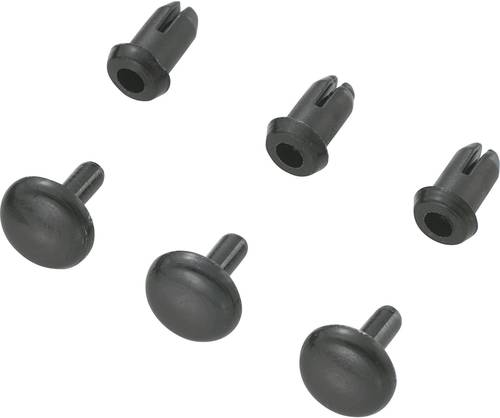 TRU COMPONENTS TC-SRR-355K203 Spreizniete Loch-Ø 3mm Schwarz 1000St. TRU COMPONENTS TC-SRR-355K203 Spreizniete Loch-Ø 3mm Schwarz 1000St. von TRU Components