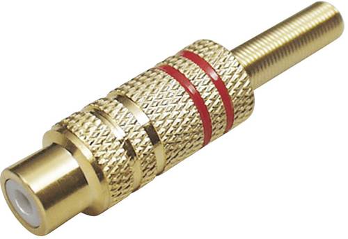 TRU Components 1577780 Cinch-Steckverbinder Kupplung, gerade Polzahl (num): 2 Mono Schwarz von TRU Components