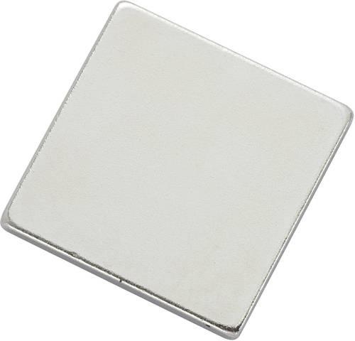 TRU Components N35-202002 1564098 Magnet-Pad N35-202002 Silber (L x B) 20mm x 20mm von TRU Components