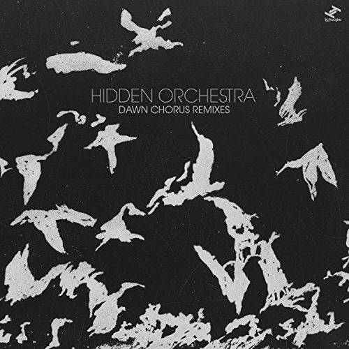 Dawn Chorus Remixes (2lp+Mp3) [Vinyl LP] von TRU THOUGHTS (GROOVE ATTACK)