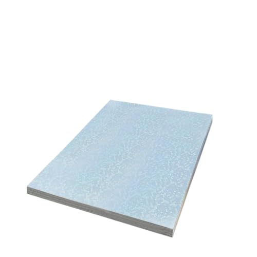 TRyYCB A4 transparente Blasen Holographische Haustierkleberpapier Kompatibel mit Tintenstrahldrucker wasserdicht und Anti-Tear DIY TRyYCB A4 transparente Blasen Holographische Haustierkleberpapier Kompatibel mit Tintenstrahldrucker wasserdicht und Anti-Tear DIY von TRyYCB