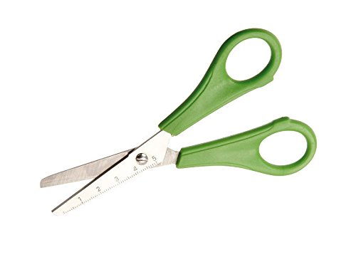 TSI 41148 Schülerschere mit spitzer Spitze und 5cm Skalierung, farblich sortiert von TSI