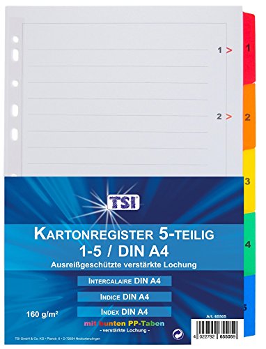 TSI Register Mylar, DIN A4 mit folienverstärkten farbigen Taben 1-5 und beschreibbarem Deckblatt, Eurolochung für alle gängigen Ordner geeignet, Art. Nr. 65505 von TSI