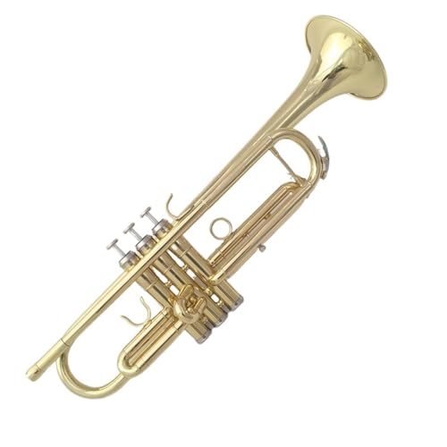 Trompete für Anfänger B Blechblasinstrument Für Anfänger Trompeteninstrument Blasinstrument Sorgfältig In Handarbeit Gefertigt von TSTS