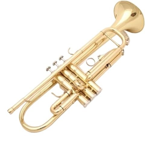 Trompete für Anfänger B-Dur-Anfänger-Prüfungsfachmann Der Lackgold-Trompete Spielt Musikinstrument Goldgurt Segeltuchtasche von TSTS