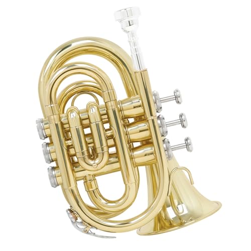 Trompete für Anfänger B-Palmentrompete Messing-Taschentrompete Anfängerprüfung Spielblasinstrument Trompete Kornett von TSTS