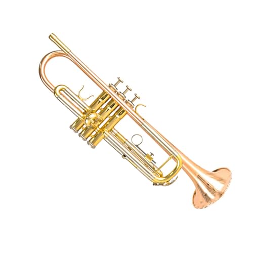 Trompete für Anfänger B-Phosphorbronze-Trompete Trompete Blasinstrument Anfänger Professionelle Leistung von TSTS