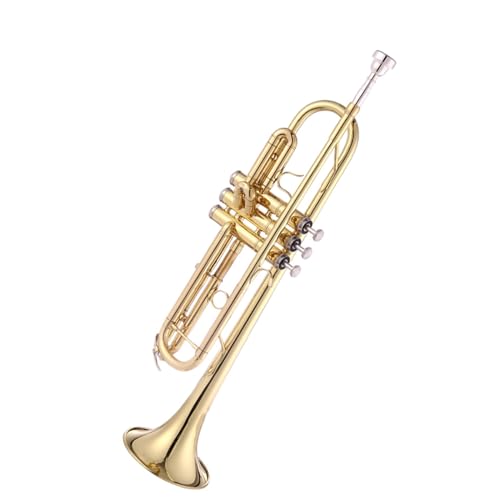 Trompete für Anfänger B-Trompete Instrument Blechblasinstrument Anfänger Leistungstest von TSTS