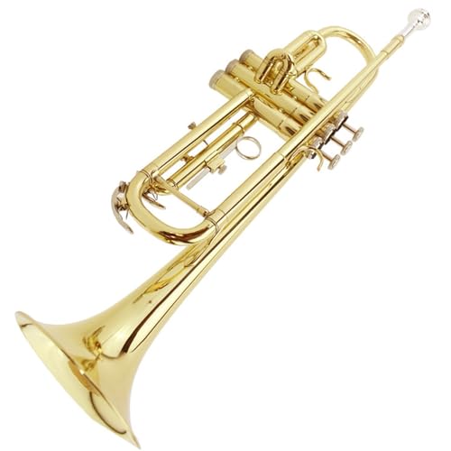 Trompete für Anfänger B-Trompete Instrument Für Anfänger Einstiegs-Profi-Trompete Instrument Kolbenhorninstrument von TSTS