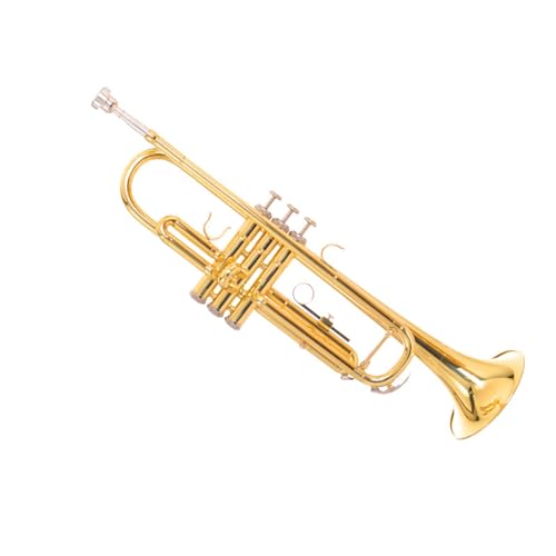 Trompete für Anfänger B-Trompete Instrument Für Anfänger Und Profispiel Gold von TSTS