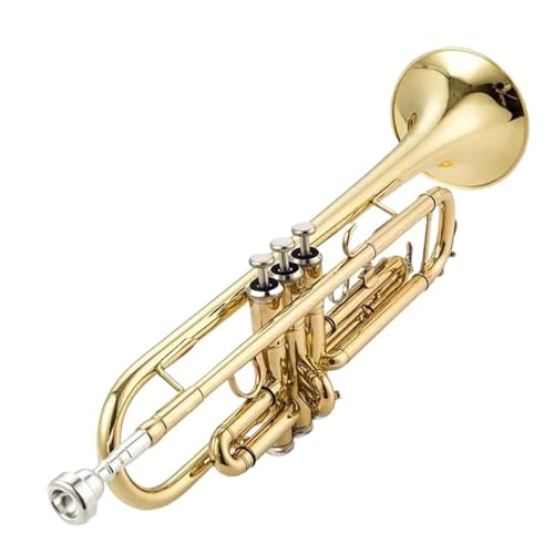 Trompete für Anfänger B-Trompete Instrument Kolben Erwachsene Anfänger Klasse Prüfung Spielen Gold von TSTS