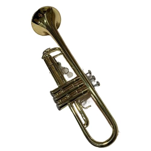 Trompete für Anfänger B-Trompete Instrument Phosphorbronze Blasrohr Professionelle Professionelle Leistung von TSTS