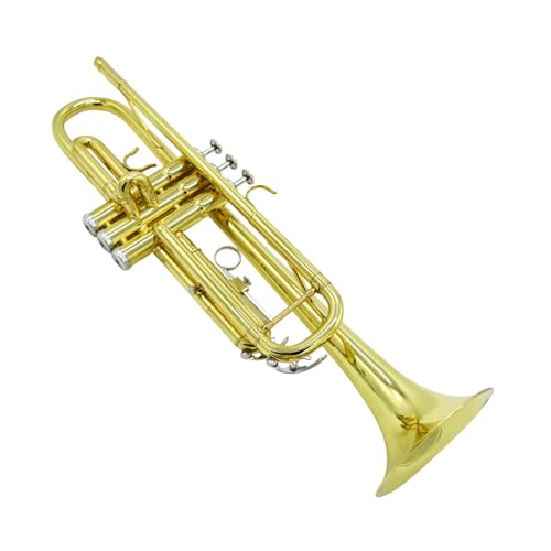 Trompete für Anfänger B-Trompete Instrument Vernickelt Silber Gold Anfänger Profispieler(Color:Gold) von TSTS