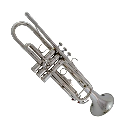 Trompete für Anfänger B-Trompete Instrument Vernickelt Silber Gold Anfänger Profispieler(Color:Nickel plated) von TSTS