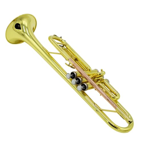 Trompete für Anfänger B-Trompete Instrument Vernickelt Silber Gold Anfänger Profispieler(Color:Phosphor bronze) von TSTS