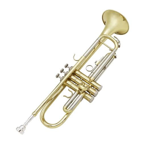 Trompete für Anfänger Blechblasinstrument B-Trompete Gold- Und Silbertrompete Anfänger-Übungsband Professionelles Trompetenspiel von TSTS
