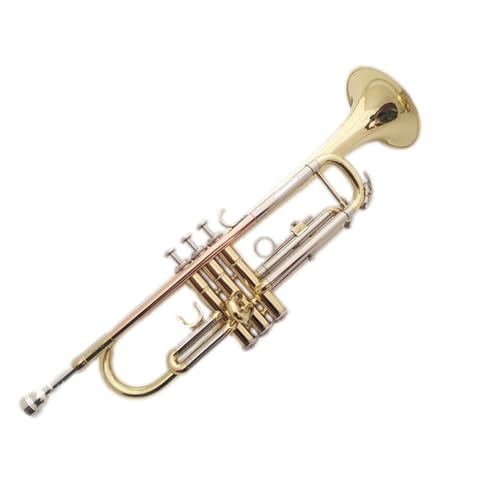 Trompete für Anfänger Blechblasinstrument B-Trompete Trompete Lack Gold Dreiklang Trompeteninstrument von TSTS