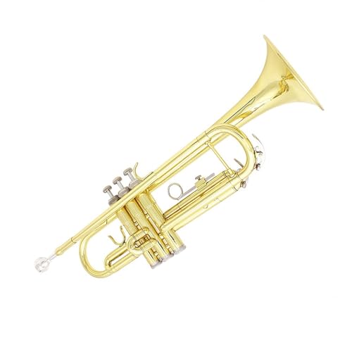 Trompete für Anfänger Blechblasinstrument Blechblastrompete B-Dur Anfänger Übungsband Profi Trompete Spielen Trompete(Color:Gold) von TSTS