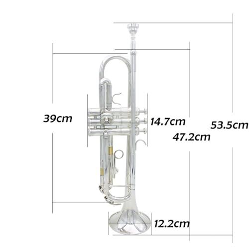 Trompete für Anfänger Blechblasinstrument Blechblastrompete B-Dur Anfänger Übungsband Profi Trompete Spielen Trompete(Color:Silver) von TSTS
