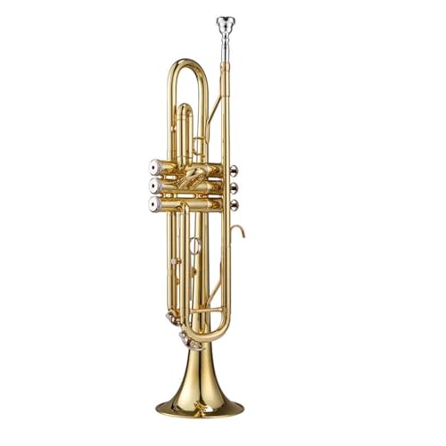 Trompete für Anfänger Horninstrument B-Blechblasinstrument Professionelles Dreiton-Tonarten-Trompetenblasen(Color:Gold) von TSTS