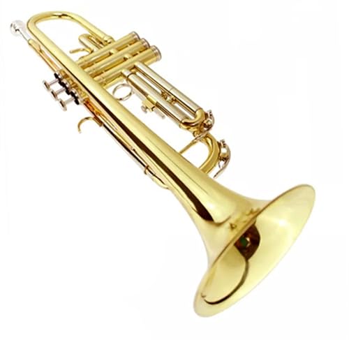 Trompete für Anfänger Instrument B-Dreiton-Trompete Lack Gold Anfänger Leistungsprüfung Profi-Band Vernickelung(Color:Gold) von TSTS