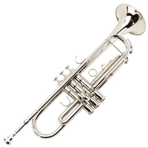 Trompete für Anfänger Instrument B-Dreiton-Trompete Lack Gold Anfänger Leistungsprüfung Profi-Band Vernickelung(Color:Silver) von TSTS