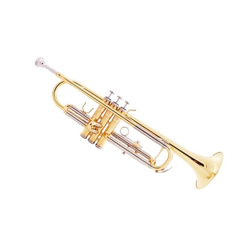 Trompete für Anfänger Messing Gold Spielen B Flat Band Anfänger Blasinstrument Zweifarbige Trompete von TSTS