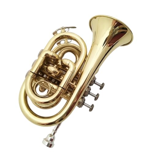 Trompete für Anfänger Palm-Trompete B-Taschentrompete Blechblasinstrument Professionelles Spielinstrument von TSTS