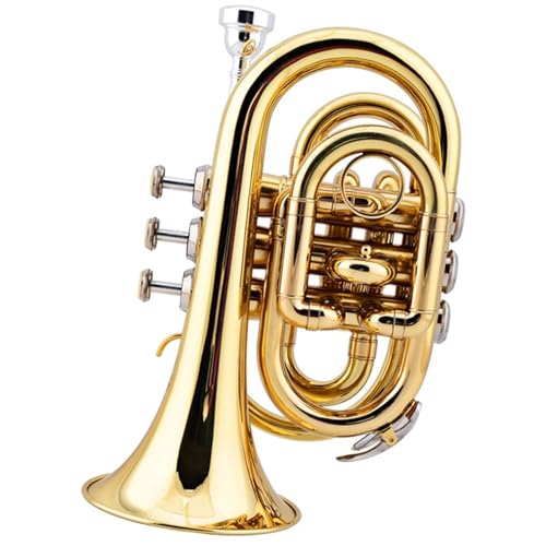 Trompete für Anfänger Palmentrompete Trompete B Blasinstrument Taschentrompete Orchesterinstrument Palmentrompete von TSTS