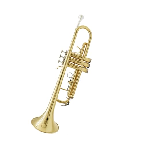 Trompete für Anfänger Professionelle Trompete Anfänger Leistungsniveau Erwachsene B Flat Lack Gold Trompete Instrumentenmaterial Messing von TSTS