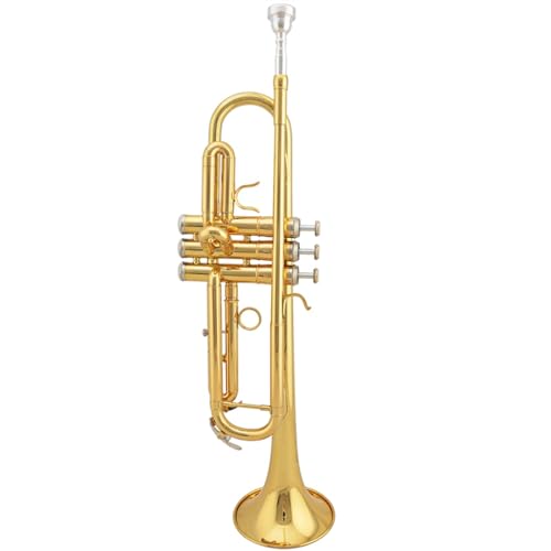 Trompete für Anfänger Profi Trompete Blasinstrument Gold Lackiert B Trompete Instrument Gold Silber Lackiert(Color:Gold) von TSTS