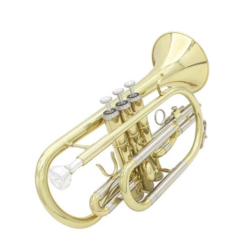 Trompete für Anfänger Trompete B-Kornett Taschentrompete Palmentrompete Mini-Trompete Drei-Tasten-Trompete Dreiton-Trompete von TSTS