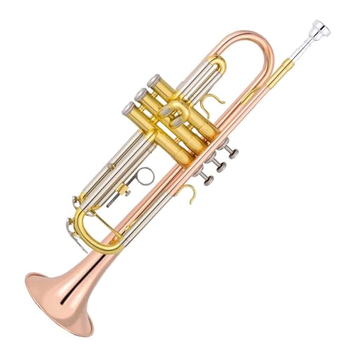 Trompete für Anfänger Trompete Blasinstrument Einsteiger Profi Prüfung Lack Gold Korpus Phosphor Bronze Mundstück Trompete von TSTS