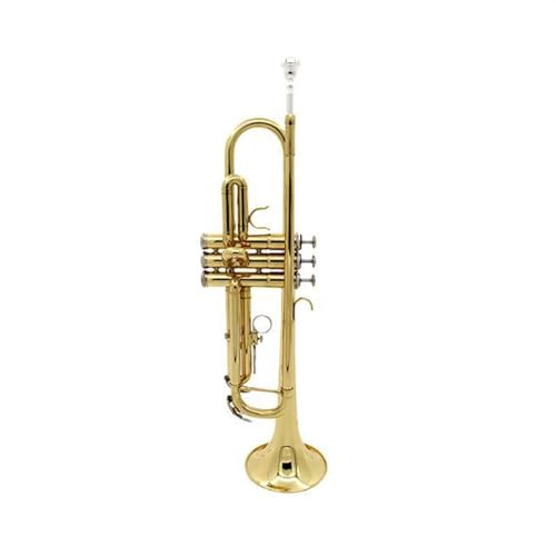 Trompete für Anfänger Trompete Vernickelt B-Trompete Instrument Für Anfänger Für Trompetenspiel Vernickelt Lack Gold(Color:Lacquered gold) von TSTS