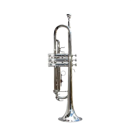 Trompete für Anfänger Trompete Vernickelt B-Trompete Instrument Für Anfänger Für Trompetenspiel Vernickelt Lack Gold(Color:Nickel plated) von TSTS