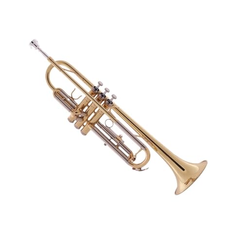 Trompete für Anfänger Trompeteninstrument Anfänger B-Dur Professionelle Performance-Trompete Blechblasinstrument Standard Weißes Kupfer-Pitchrohr von TSTS