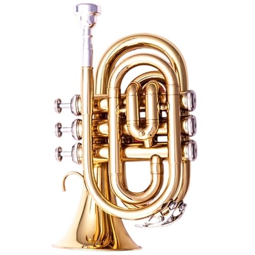 Trompete für Anfänger Trompeteninstrument B-Dreiton-Trompete Mini-Palm-Trompete Anfänger-Auftrittsprüfung Profi-Band(Color:Gold) von TSTS