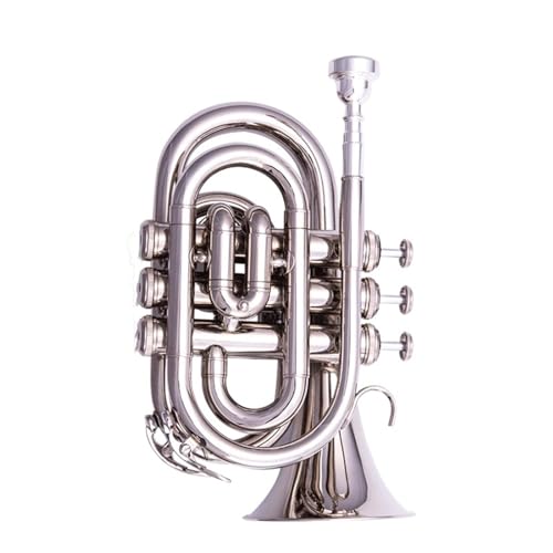 Trompete für Anfänger Trompeteninstrument B-Dreiton-Trompete Mini-Palm-Trompete Anfänger-Auftrittsprüfung Profi-Band(Color:Silver) von TSTS