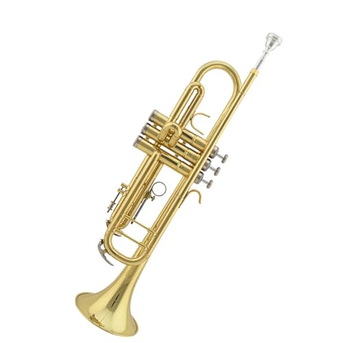 Trompete für Anfänger Trompeteninstrument B Für Anfänger Universal Brass Trompete Band von TSTS