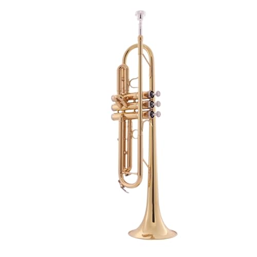 Trompete für Anfänger Trompeteninstrument Für Anfänger B-Trompete Professionelles Leistungsinstrument Blechblasinstrument Beliebtes Gold Und Silber(Color:Gold) von TSTS