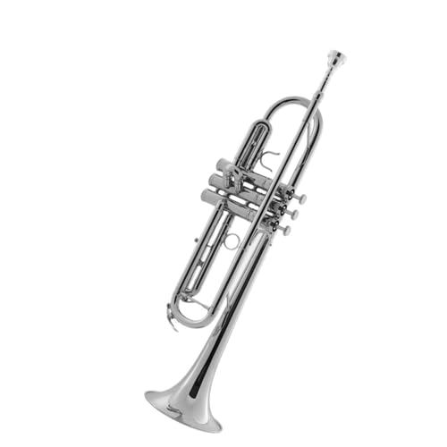 Trompete für Anfänger Trompeteninstrument Für Anfänger B-Trompete Professionelles Leistungsinstrument Blechblasinstrument Beliebtes Gold Und Silber(Color:Silver) von TSTS