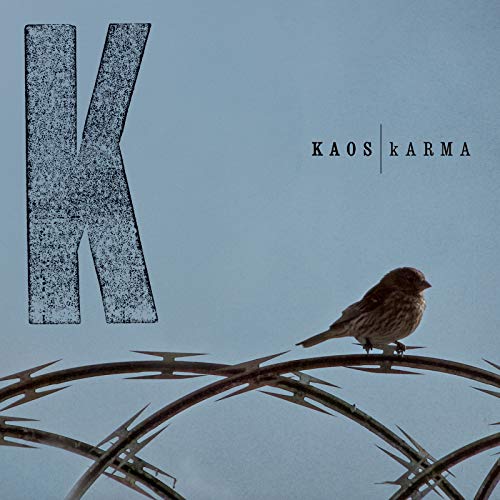 Karma [Vinyl LP] von TUFF KONG RECORDS