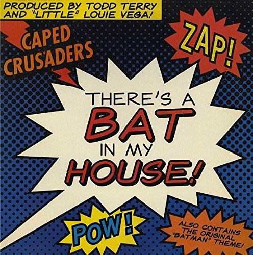 There's a bat in my house (1989) [Vinyl Single] von TVT