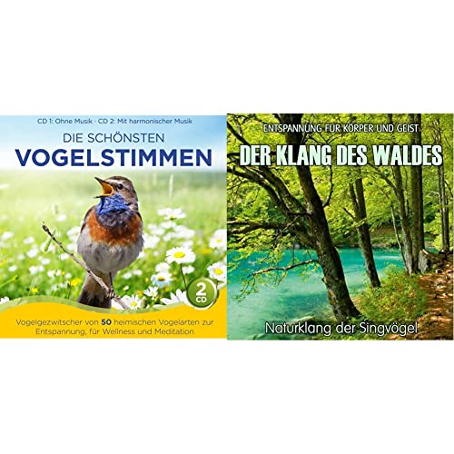 Die schönsten Vogelstimmen & Der Klang des Waldes - Naturklang der Singvögel (ohne Musik) Entspannung für Körper und Geist von TYROLIS Musik GmbH / Mittenwald